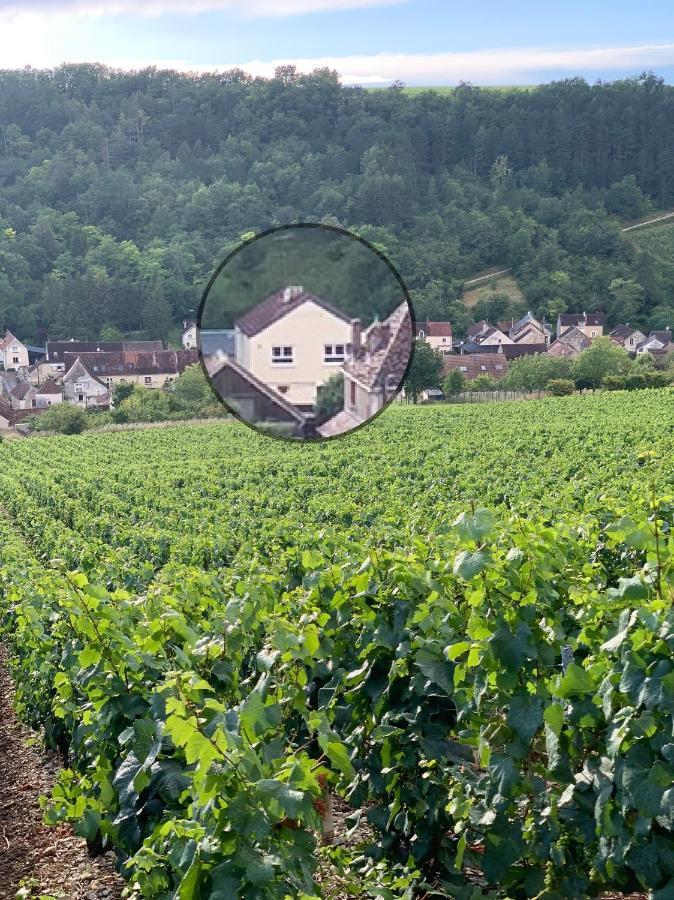 Maison De Campagne Entre Vigne Et Bois شابلي المظهر الخارجي الصورة